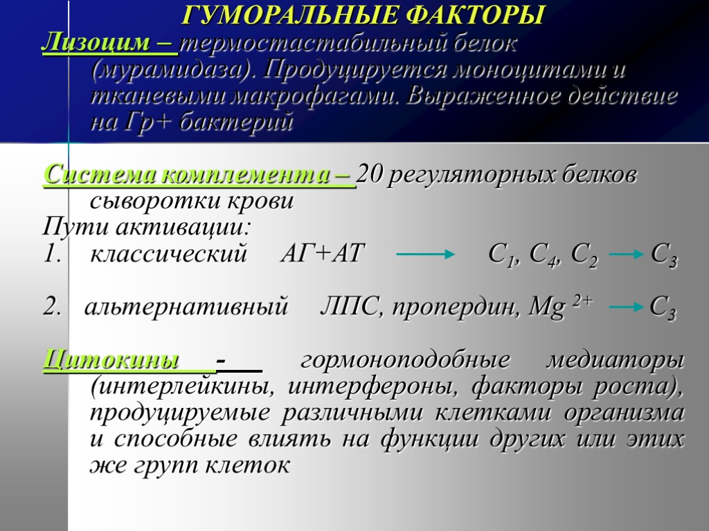 ГУМОРАЛЬНЫЕ ФАКТОРЫ Лизоцим – термостастабильный белок (мурамидаза). Продуцируется моноцитами и тканевыми макрофагами. Выраженное действие